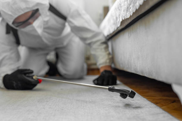 Professional Cockroach Control technician working in Waipio Acres, HI